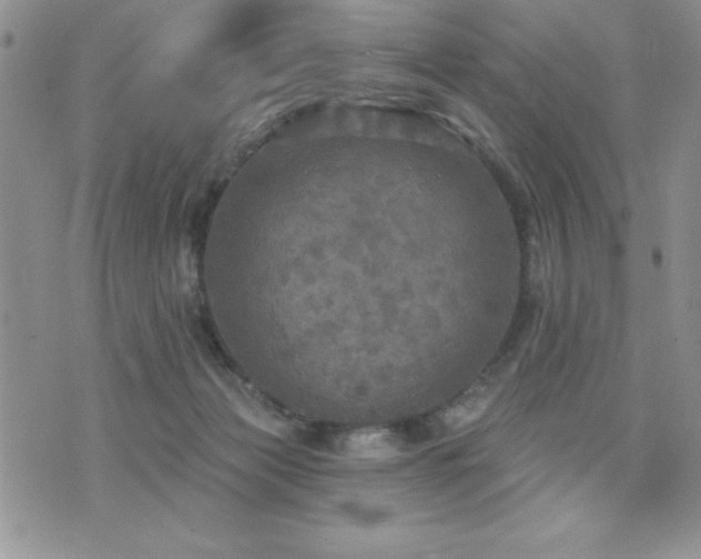 X0000071960173200607071502