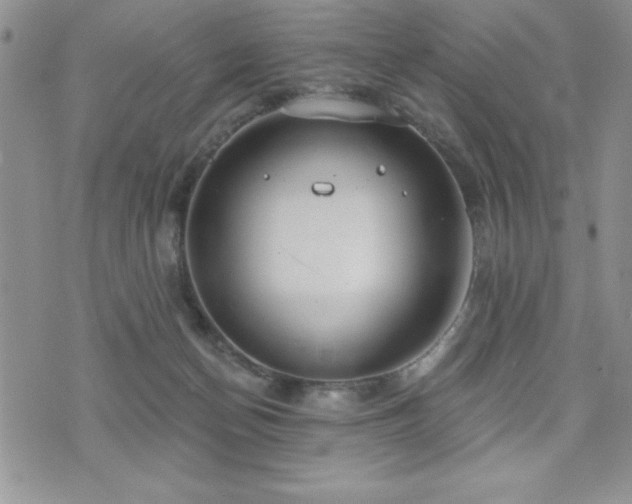 X0000071960174200607071502