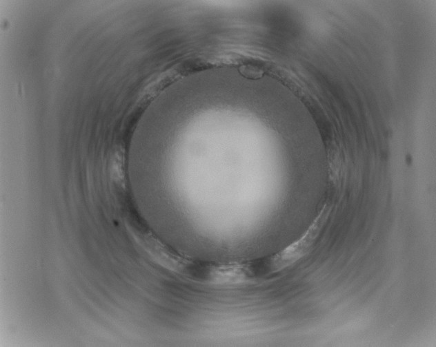 X0000071960175200607071502