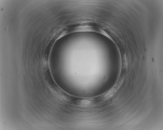 X0000071960176200607071502