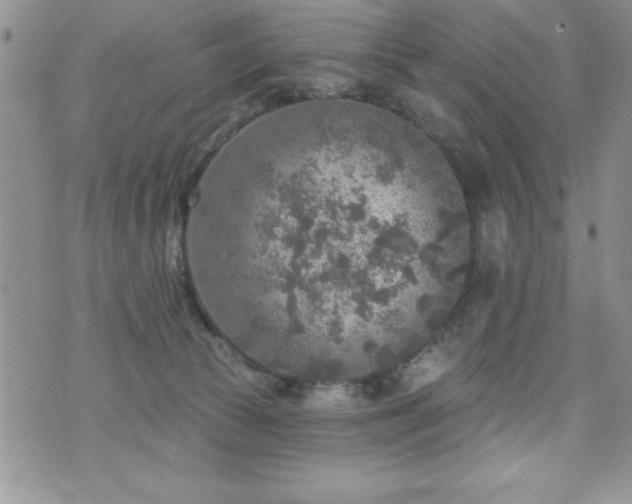 X0000071960177200607071502