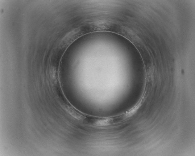 X0000071960178200607071502