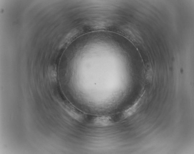 X0000071960179200607071502