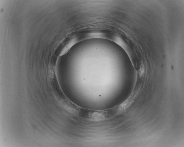 X0000071960180200607071502