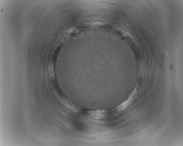 X0000071960182200607071502