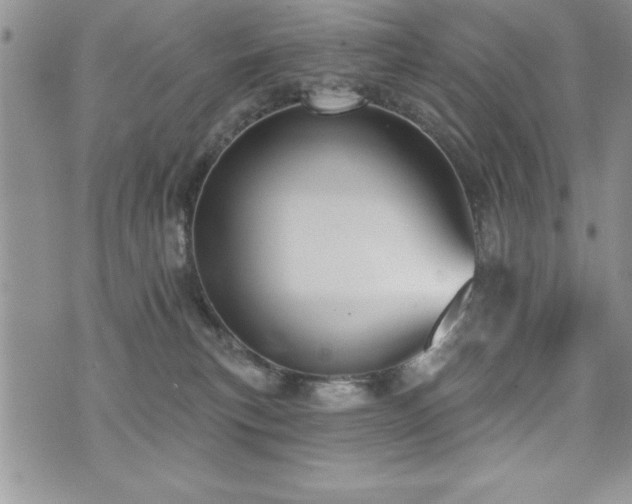 X0000071960183200607071502