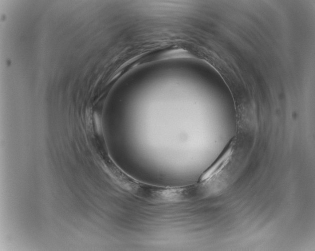 X0000071960184200607071502