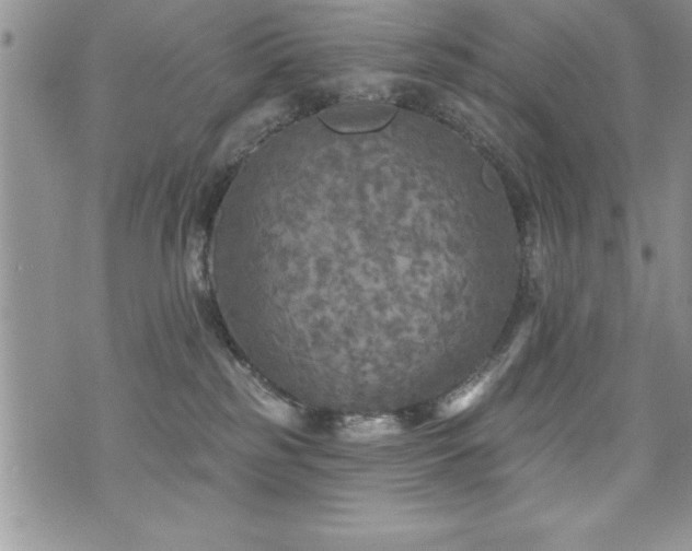 X0000071960185200607071502