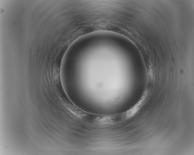 X0000071960186200607071502