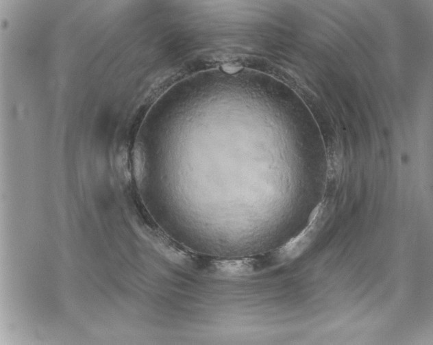 X0000071960187200607071502