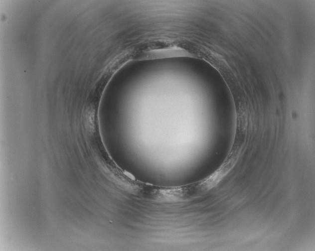 X0000071960188200607071502