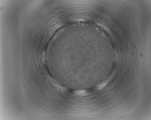 X0000071960189200607071502