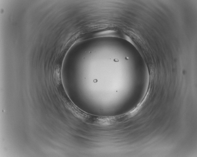 X0000071960190200607071502