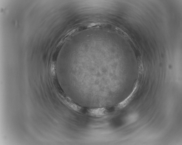 X0000071960191200607071502