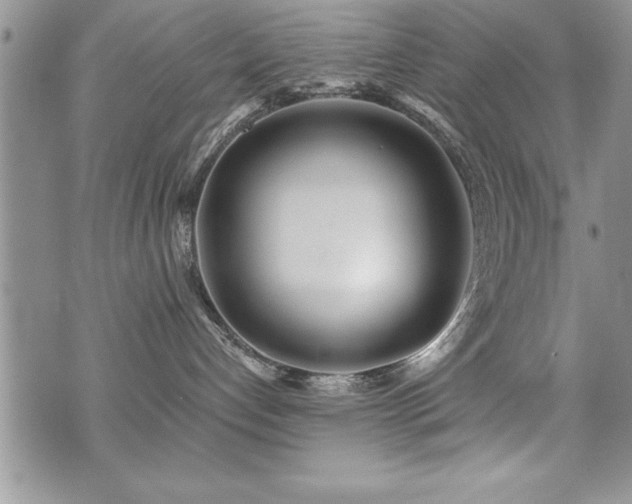 X0000071960192200607071502