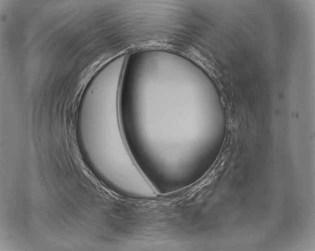 X0000071960193200607071501