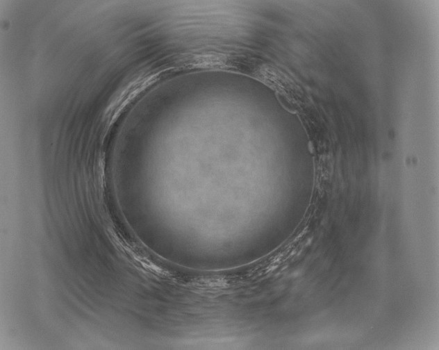 X0000071960194200607071501