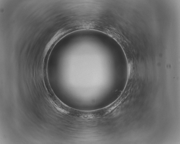 X0000071960195200607071501