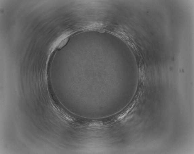 X0000071960196200607071501