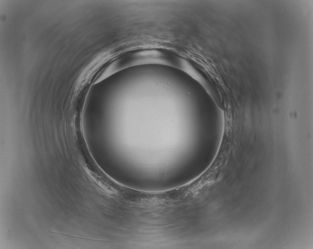 X0000071960197200607071501