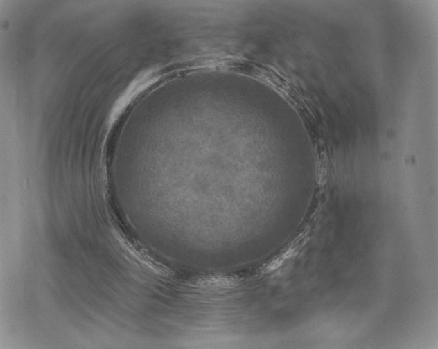 X0000071960198200607071501