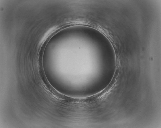 X0000071960199200607071501