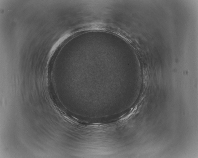 X0000071960200200607071501