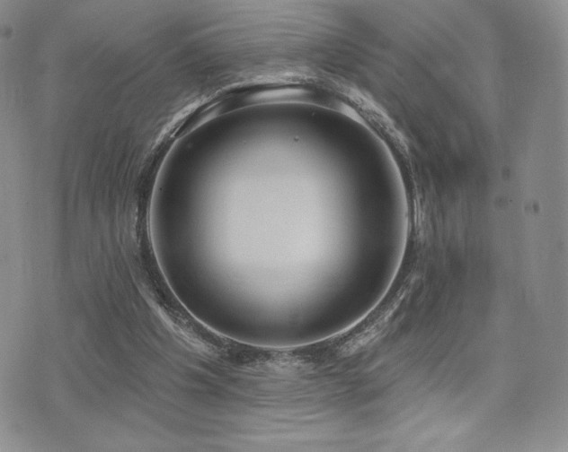 X0000071960201200607071501