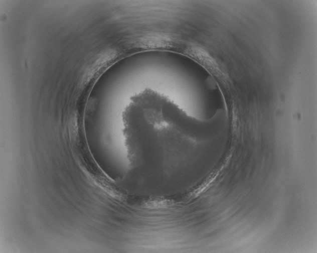 X0000071960202200607071501