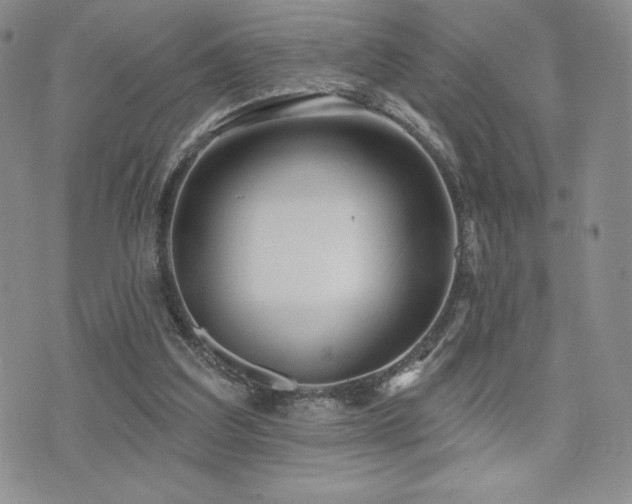 X0000071960203200607071501