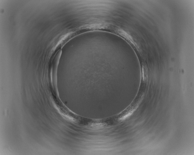 X0000071960205200607071501