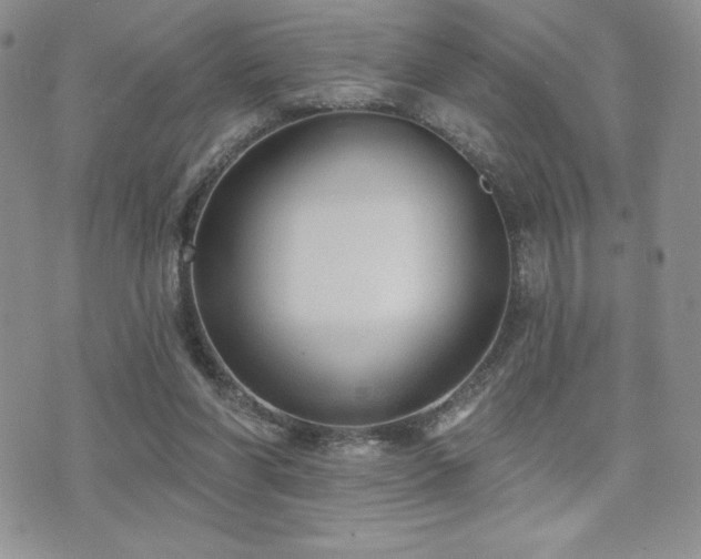 X0000071960206200607071501