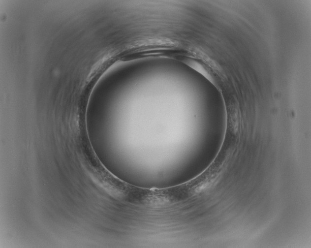 X0000071960207200607071501