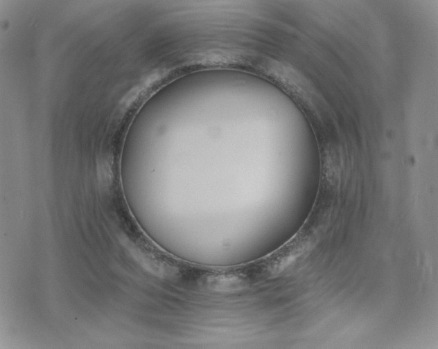 X0000071960208200607071501