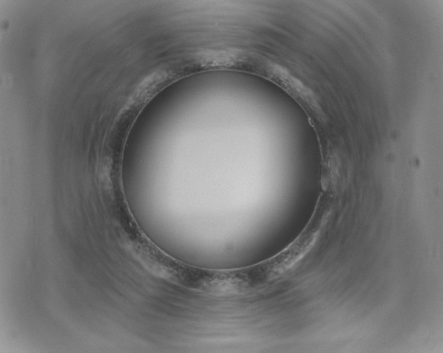 X0000071960209200607071501