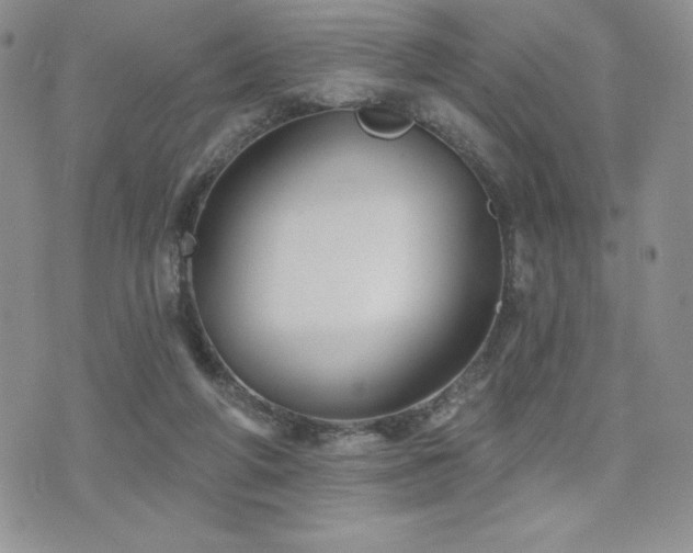 X0000071960210200607071501