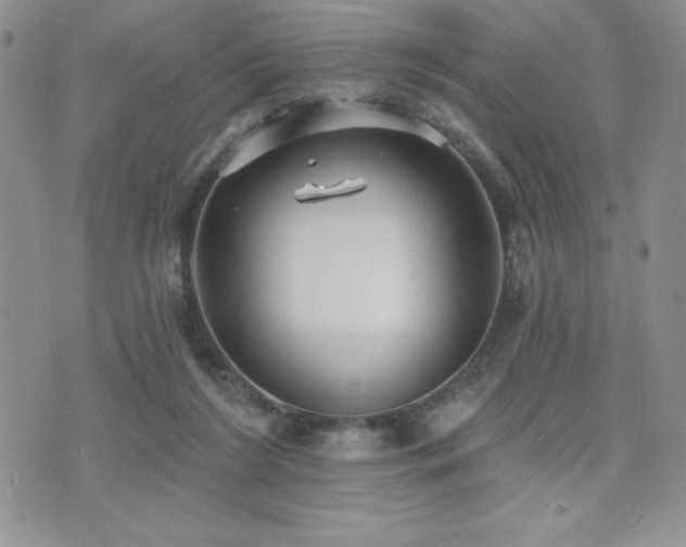 X0000071960212200607071501