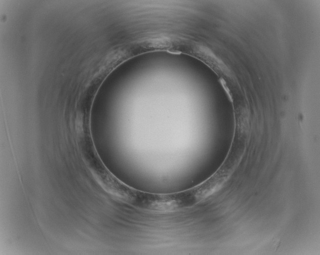 X0000071960213200607071501