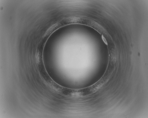 X0000071960216200607071501