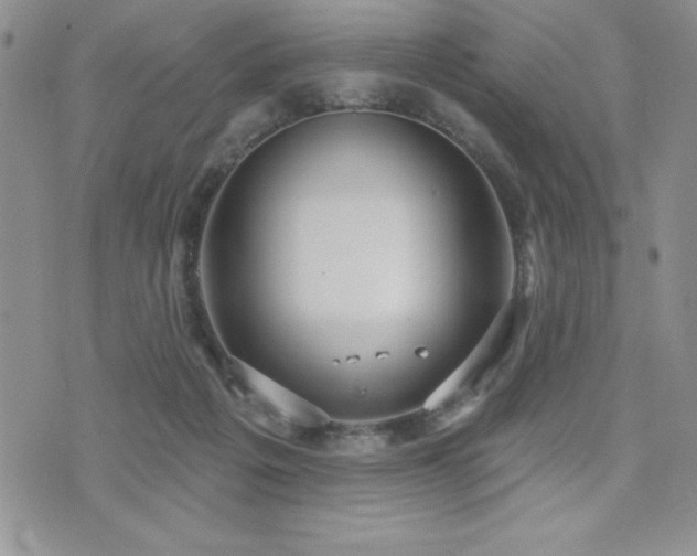 X0000071960217200607071501