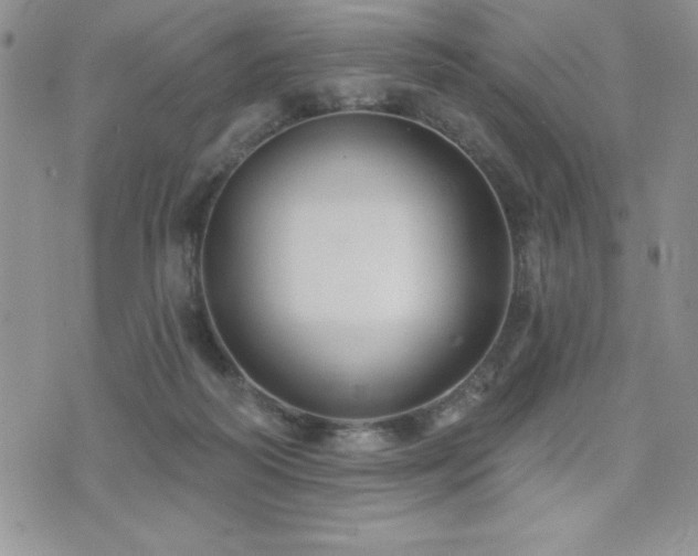 X0000071960218200607071501