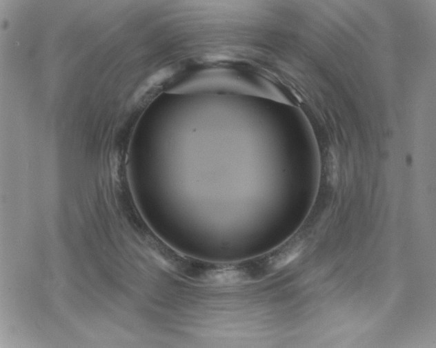 X0000071960219200607071501