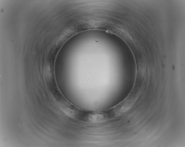 X0000071960220200607071501