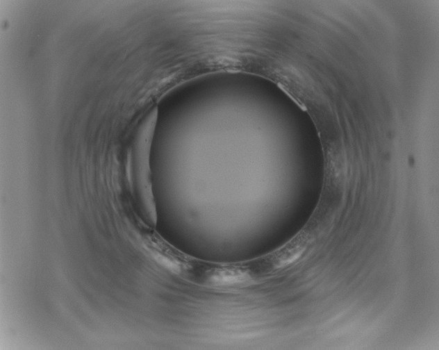 X0000071960223200607071501