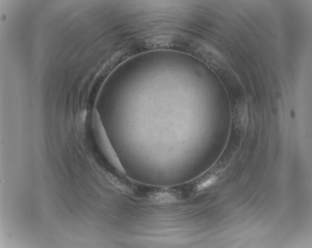 X0000071960224200607071501