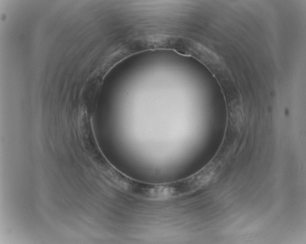 X0000071960225200607071501