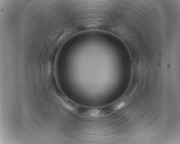 X0000071960227200607071501