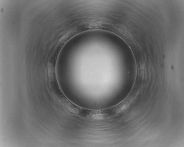 X0000071960228200607071500