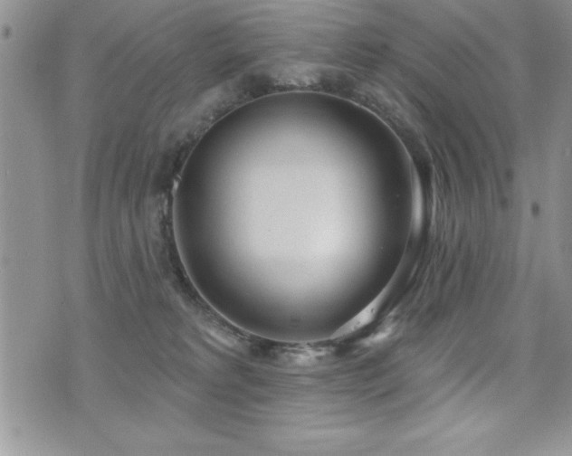 X0000071960229200607071500