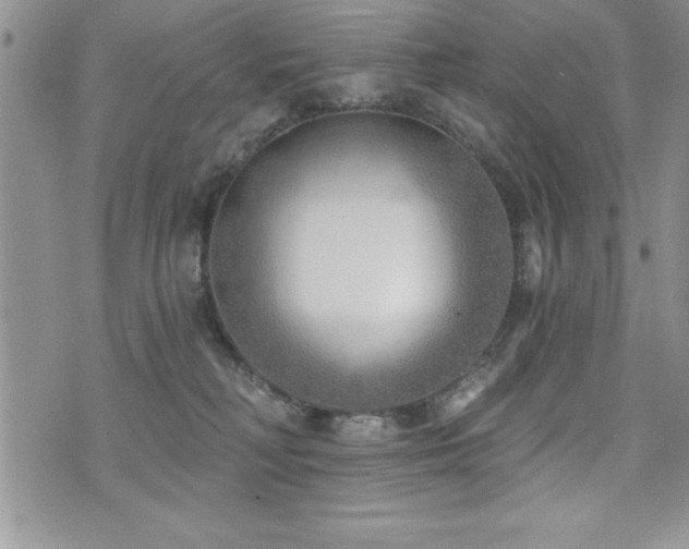 X0000071960230200607071500